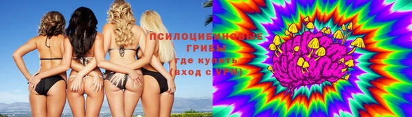 стафф Алзамай