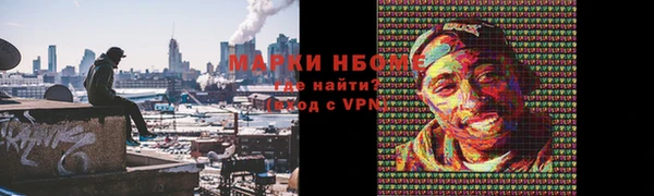 стафф Алзамай