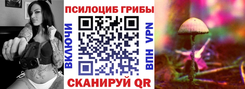 Псилоцибиновые грибы Psilocybe  ОМГ ОМГ сайт  Красноуфимск  цены  